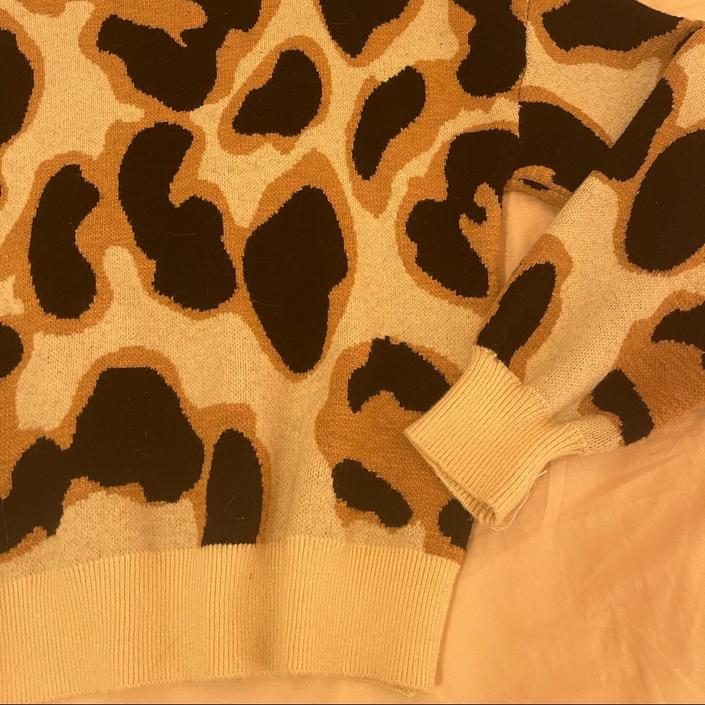 Printed Sweater - Picture 2 of 3